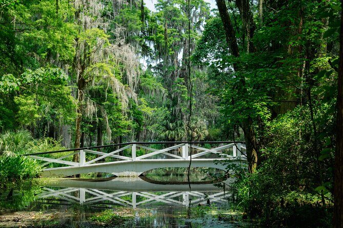 Magnolia Plantation Tour with transportation PLUS City Bus Tour - Why Choose This Tour? Practical Insights