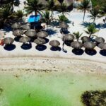 Mahahual: All-Inclusive Costa Maya Beach Break with Open Bar - Food and Drinks: A Highlight