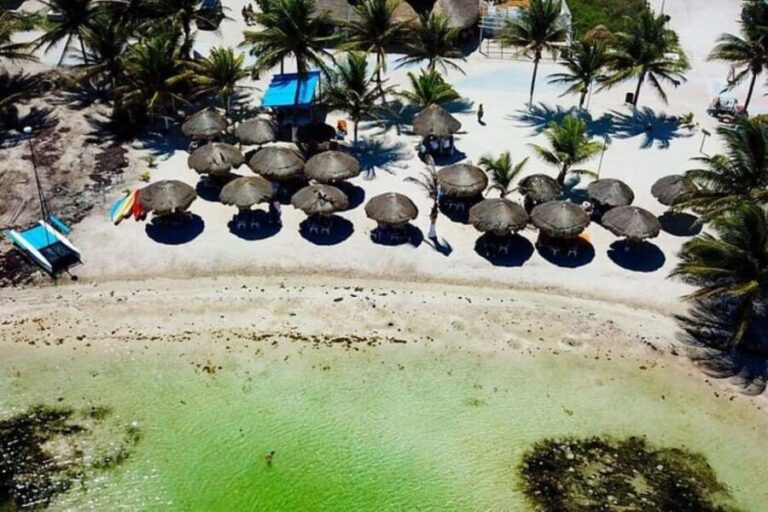 Mahahual: All-Inclusive Costa Maya Beach Break with Open Bar - Food and Drinks: A Highlight