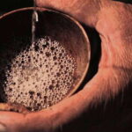 Mahahual: Authentic Mezcal & Tequila Tasting Experience - FAQ
