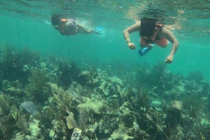 Mahahual: Costa Maya Snorkeling Adventure by Boat - FAQ