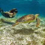 Mahahual: Snorkeling on the Great Mayan Reef - The Sum Up