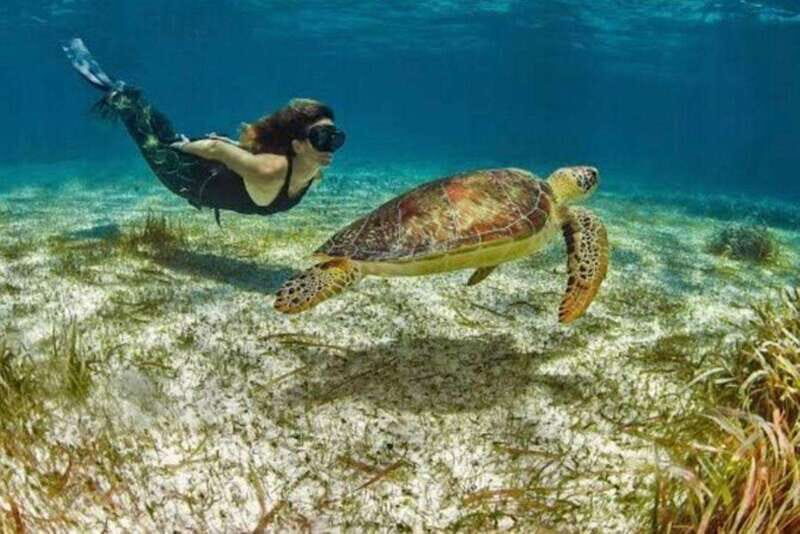 Mahahual: Snorkeling on the Great Mayan Reef - The Sum Up