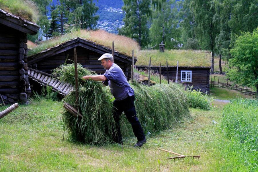 Maihaugen Museum/The Norwegian Olympic Museum, Lillehammer. - Who Will Love This Tour?