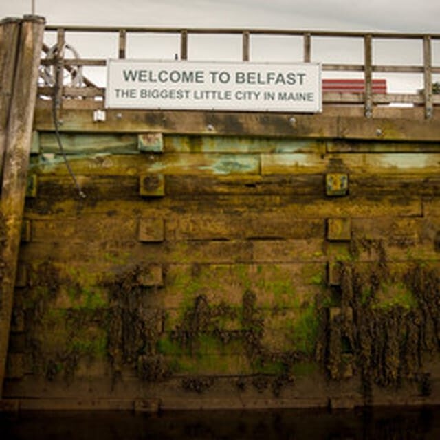 Maine: Belfast VIP Private Harbor Cruise - What to Expect During Your Cruise