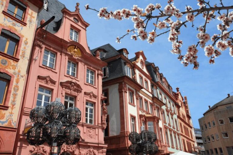 Mainz Guided Visit - A Closer Look at the Mainz Guided Visit