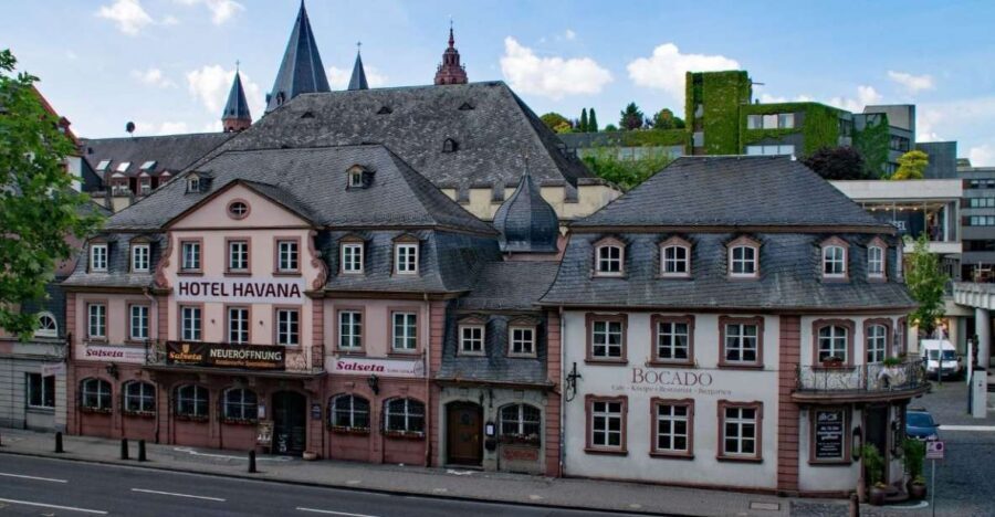 Mainz: Private Walking Tour With Professional Guide - A deep dive into what you can expect