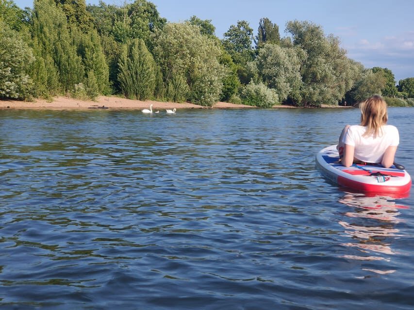 Mainz: Stand Up Paddling Tour on the Rhine River - Final Thoughts