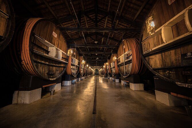 Maison Noilly Prat VIP tour, wine and vermouth tastings - Why This Tour Is Worth Considering