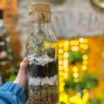 Make Your Own Terrarium in a houseplant paradise - An In-Depth Look at the Experience