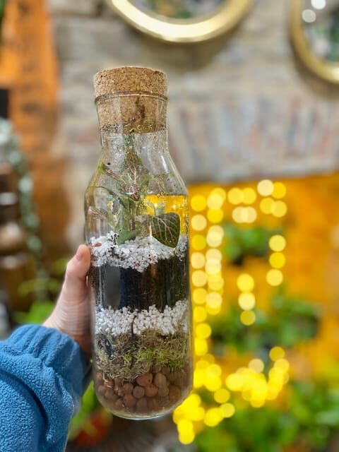 Make Your Own Terrarium in a houseplant paradise - An In-Depth Look at the Experience