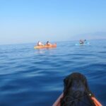 Makena-Wailea Explorer Trip in Maui - Frequently Asked Questions