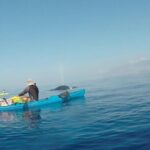 Makena Whale Watching and Snorkel - A Closer Look at the Tour Experience