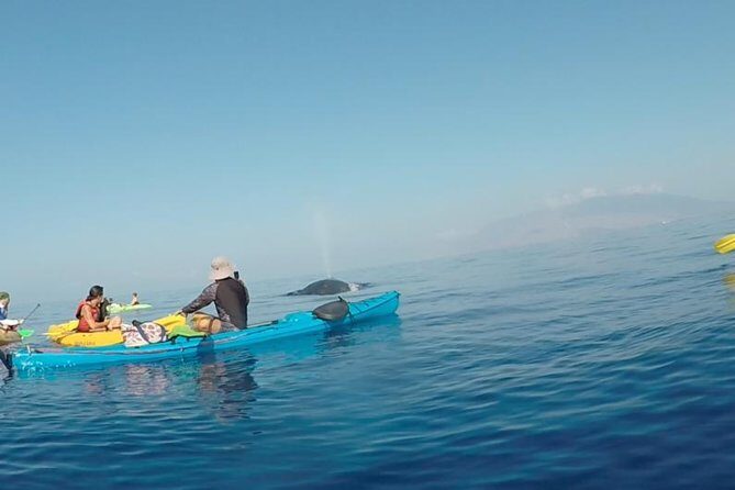 Makena Whale Watching and Snorkel - A Closer Look at the Tour Experience