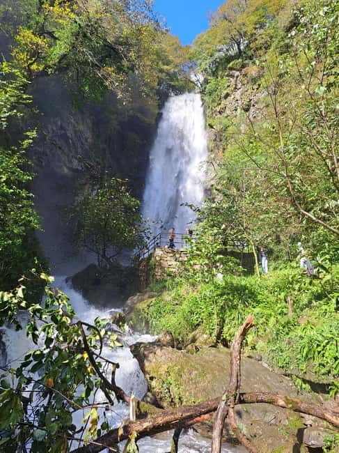 Makhuntseti: Day Tour with Waterfall, Arch Bridge - Transportation and Guide Experience
