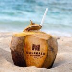 Malamala Beach Club - Half Day Pass - What to Expect from Your Half-Day Adventure