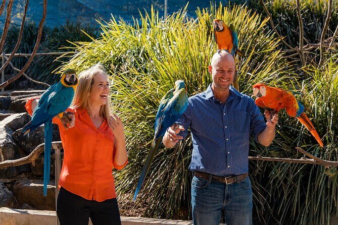 Maleny Botanic Gardens Bird Aviary Experience Ticket - Authentic Experiences and Genuine Value