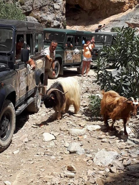 MALIA: East Crete Famous Places (Family and Child Friendly) - The Practical Side: What to Expect