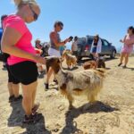 Malia: Lasithi Plateau Zeus Cave Guided Tour - What Sets This Tour Apart?