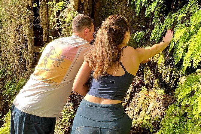 Malibu Waterfall eMTB & Hiking Adventure (Beginner) - Practical Details and Logistics