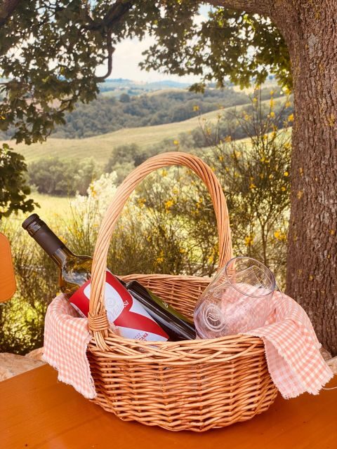 Maliosa Natural Picnic - The Sum Up: Is It Worth It?