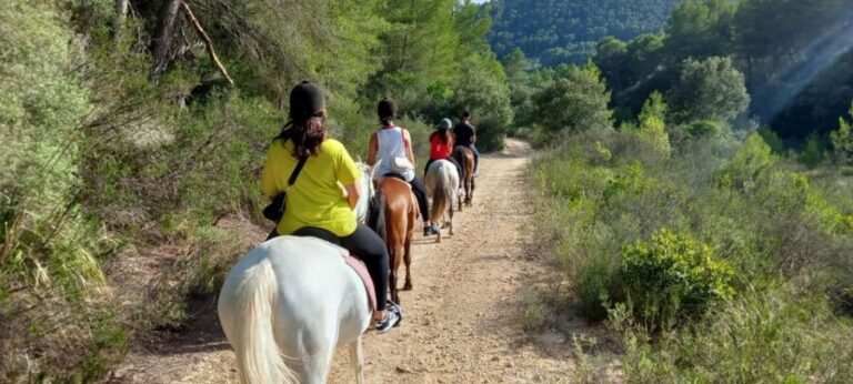 Mallorca: Activity, Antique Mallorca with Picnic - The Itinerary: What to Expect