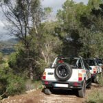 Mallorca: Beach and Mountain 4X4 Tour - What Travelers Say: Authentic Experiences and Tips