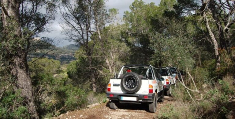 Mallorca: Beach and Mountain 4X4 Tour - What Travelers Say: Authentic Experiences and Tips