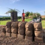 Mallorca: Bodega Butxet Vineyards & Winery Tour with Tasting - Who Should Consider This Tour?