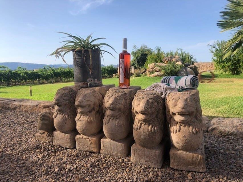 Mallorca: Bodega Butxet Vineyards & Winery Tour with Tasting - Who Should Consider This Tour?