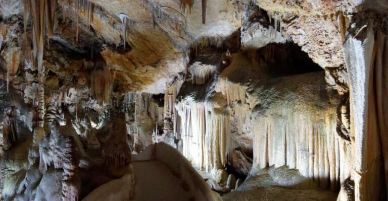 Mallorca: Campanet Caves Entry Ticket - A Closer Look at the Campanet Caves Experience