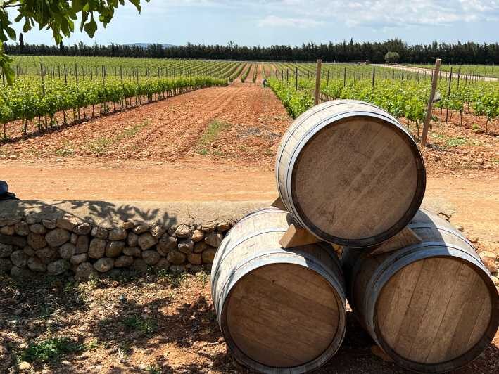 Mallorca: Discover the secret treasures of the local wine - Why This Tour Offers Great Value
