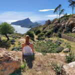 Mallorca hiking tour "Castell d'Alaró" - Who This Tour Is Perfect For