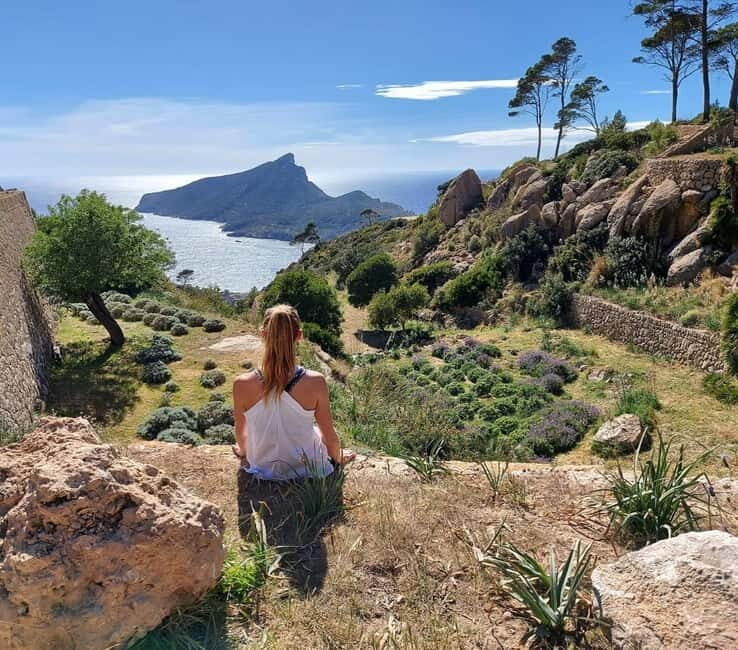 Mallorca hiking tour "Castell d'Alaró" - Who This Tour Is Perfect For