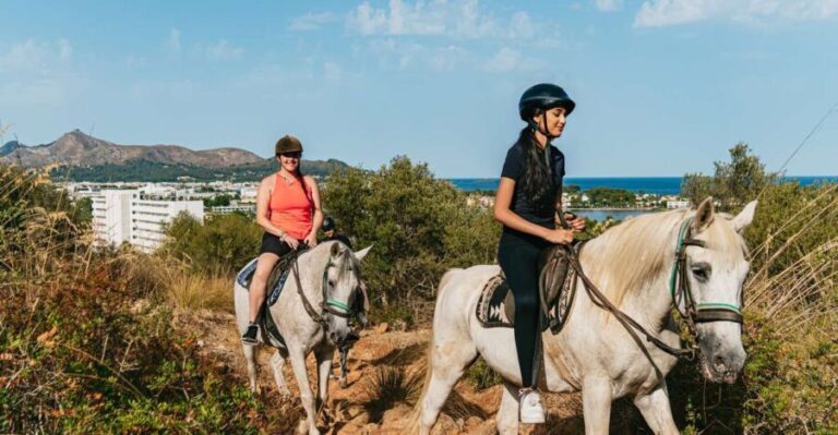 Mallorca: Horseback Riding Experience with Food Options - Authentic Experiences and Real Reviews