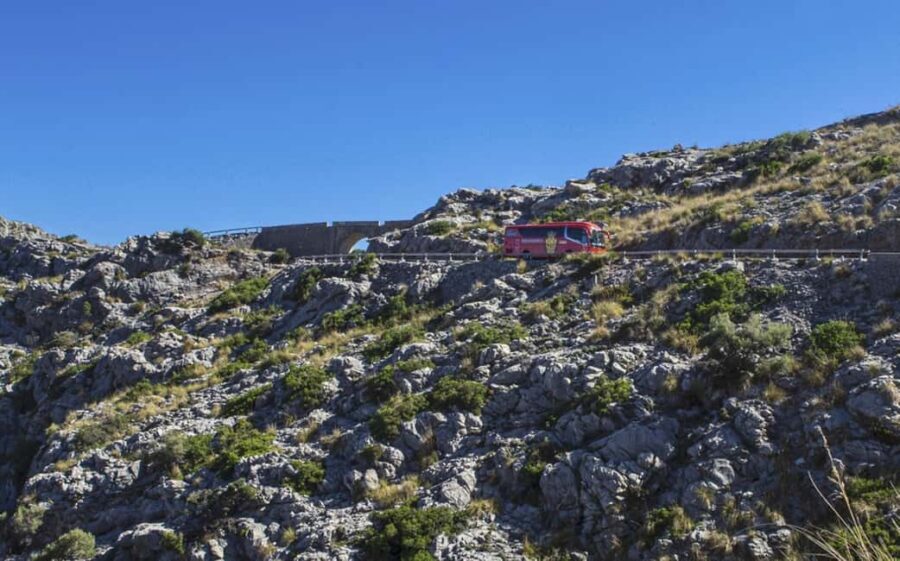 Mallorca Island Tour with Boat, Train, Tram and Bus - Final Thoughts: Is This Tour Worth It?