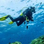 Mallorca: Scuba Dive Adventure Cap Formentor - 1 Dive (license required) - Practical details