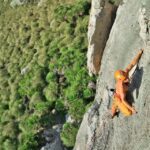 Mallorca: Sport Climbing Day or Course - Who Should Consider This Climbing Day?