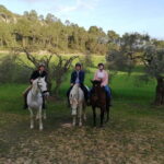 Mallorca: Sunset excursion, horse show, and falconry. - What to Expect: An In-Depth Look at the Experience