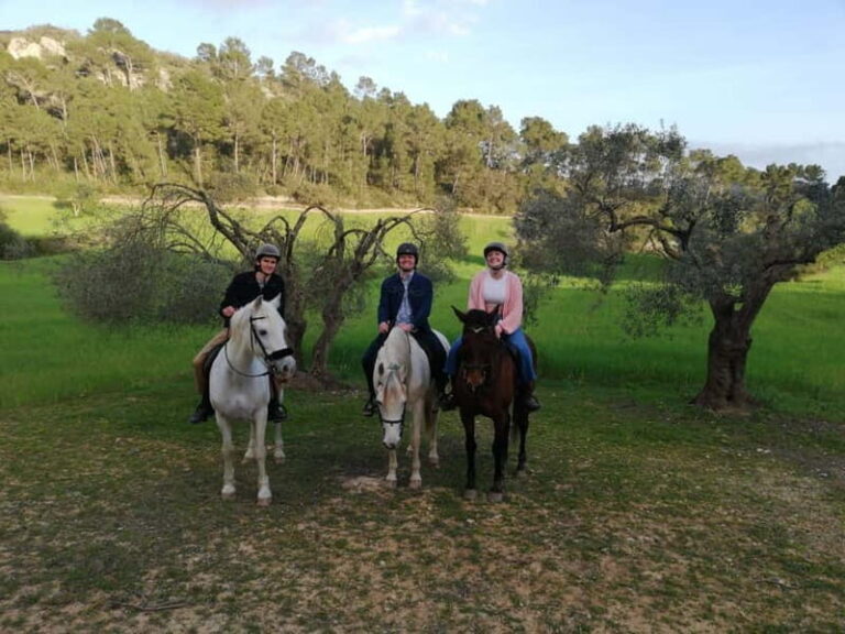 Mallorca: Sunset excursion, horse show, and falconry. - What to Expect: An In-Depth Look at the Experience