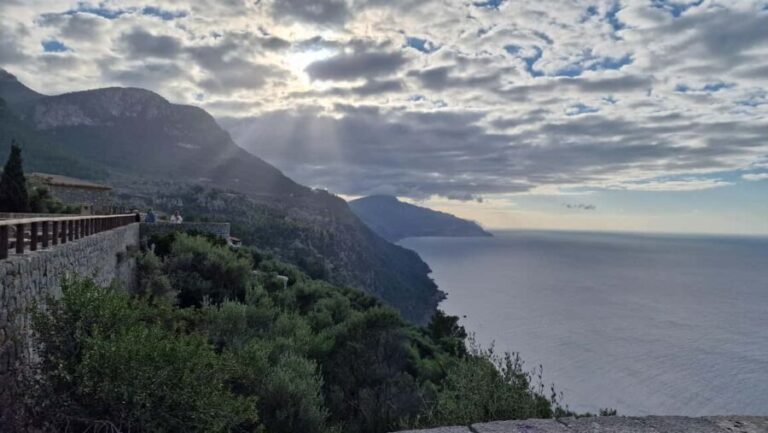 Mallorca: West Coast & Orange Valley Minbustour - What’s Included and What’s Not