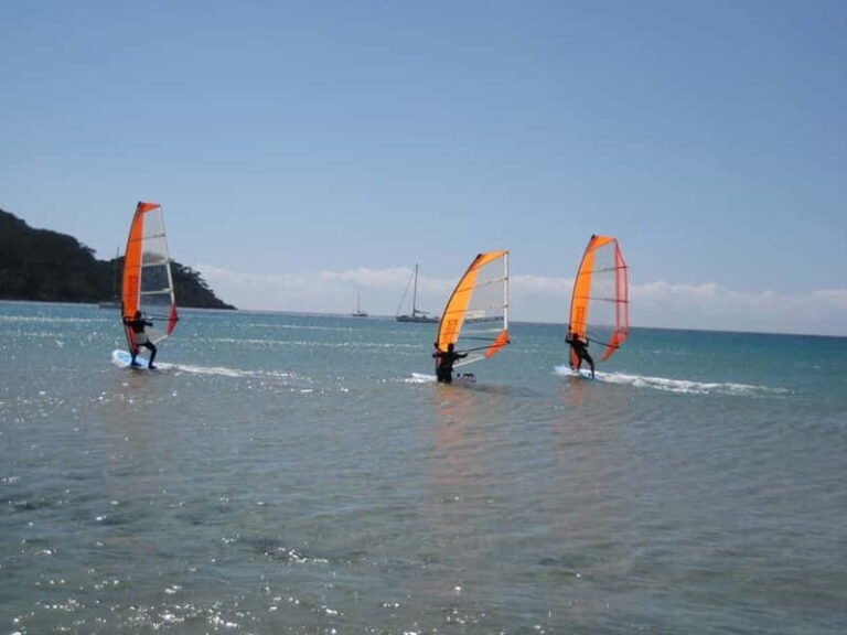 Malmö: Beginner class Dynamic Windsurfing - An In-Depth Look at the Malmö Windsurfing Experience