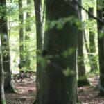 Malmo Bike Rental - FAQ