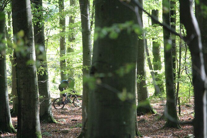 Malmo Bike Rental - FAQ