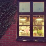 Malmö: Korean Dumplings Cooking Class with Chef So-Young - The Experience: Authentic, Fun, and Informative