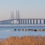 Malmö Private Full Day Trip from Copenhagen by Train - Experience Highlights in a Nutshell