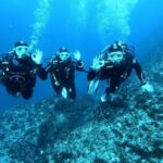 Malta: 2 Guided Dives for Certified Divers with Diving Gear - Why This Tour Offers Great Value
