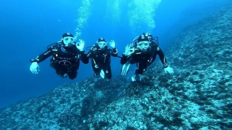 Malta: 2 Guided Dives for Certified Divers with Diving Gear - Why This Tour Offers Great Value