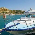 Malta: Around Comino Cruise With Blue Lagoon stop - Who Should Consider This Tour?