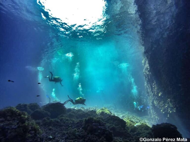 Malta: Beginner Scuba Diving with Dive Registration - What the Itinerary Looks Like